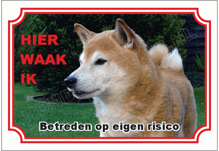 Japanse spits