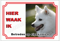 Japanse spits