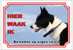 Karelische berenhond