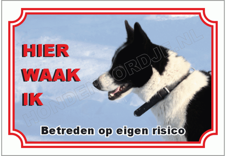 Karelische berenhond