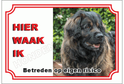 Leonberger