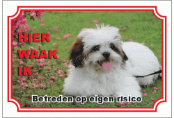 Lhasa apso
