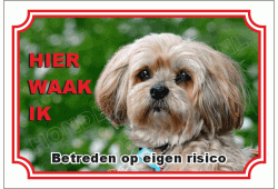 Lhasa apso