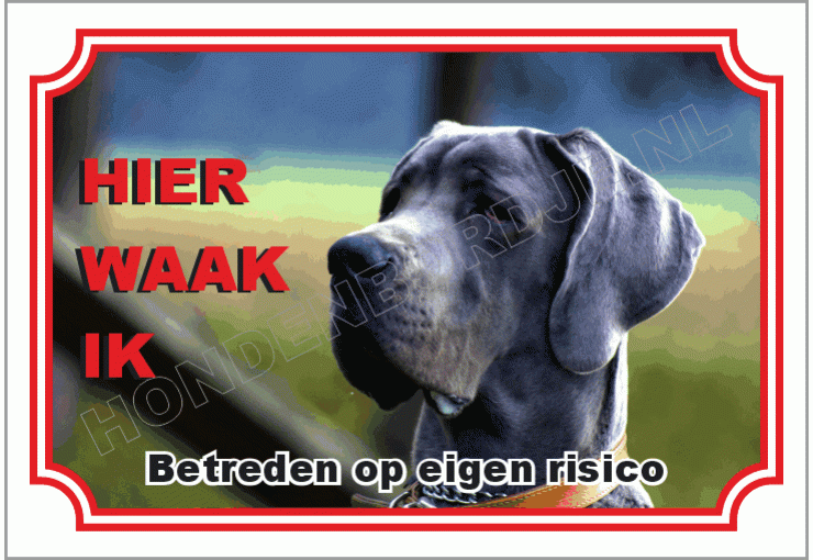 Mastiff del pirineo