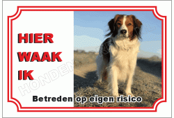 Nederlandse kooikerhondje