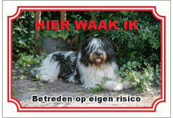 Nederlandse schapendoes