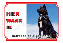 Noorse buhund