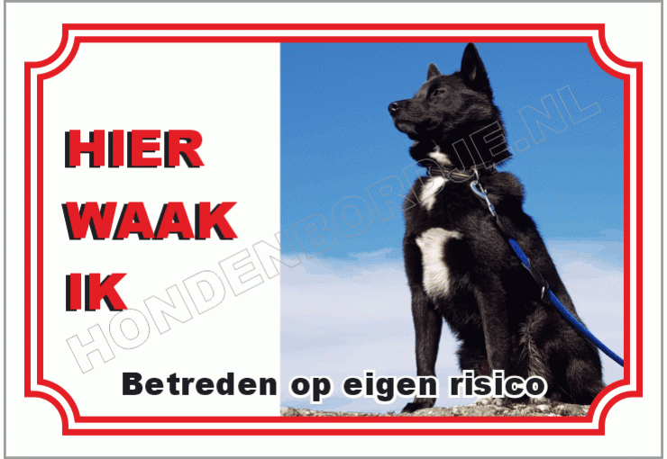 Noorse buhund