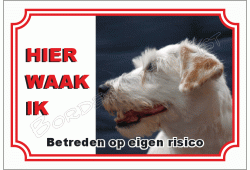 Parson russell terrier