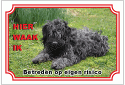 Puli hond