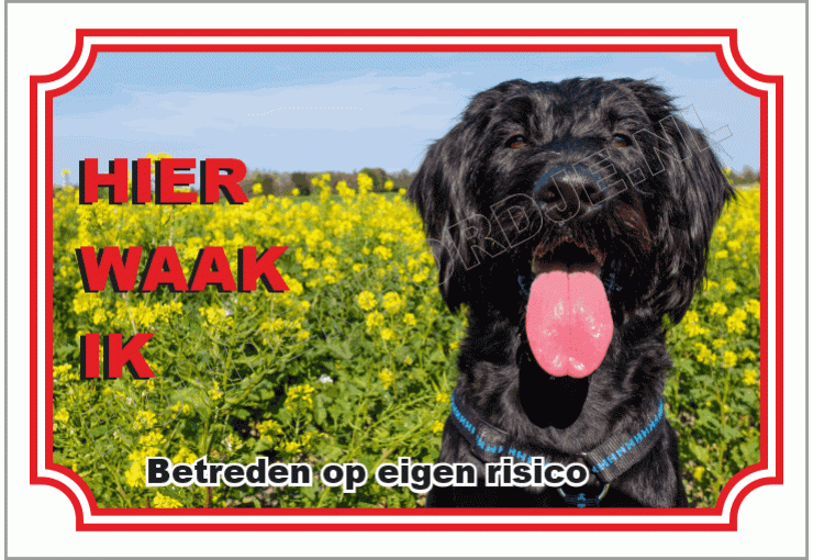 Riesenschnauzer