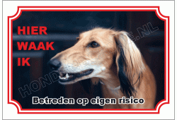 Saluki