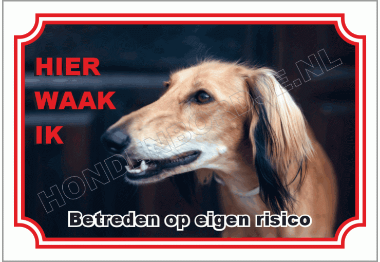 Saluki