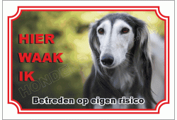 Saluki