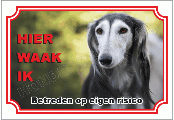 Saluki