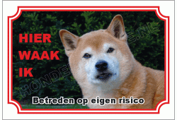 Shiba
