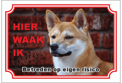Shiba