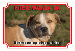 Staffordshire bull terrier