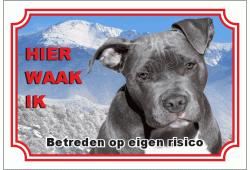 Staffordshire bull terrier