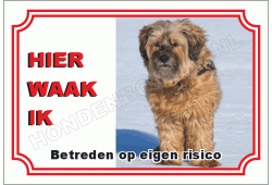 Tibetaanse  spaniel
