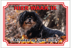 Tibetaanse  spaniel