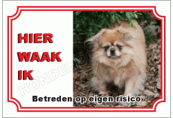 Tibetaanse  spaniel