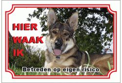 Tsjechoslowaakse wolfhond