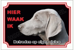 Weimaraner kort haar