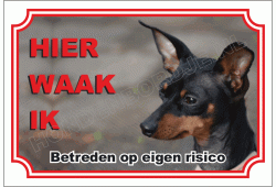 Duitse dwergpinscher