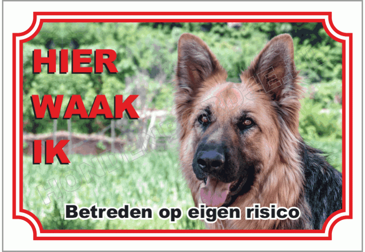 Duitse Herder langhaar