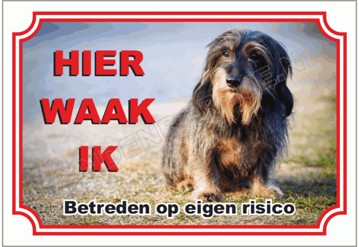 Ruwhaar Teckel