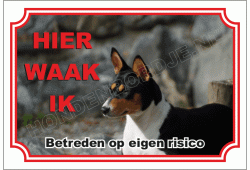 Basenji