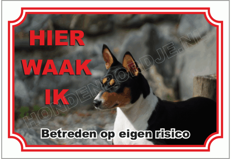Basenji