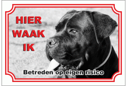 Cane Corso zwart
