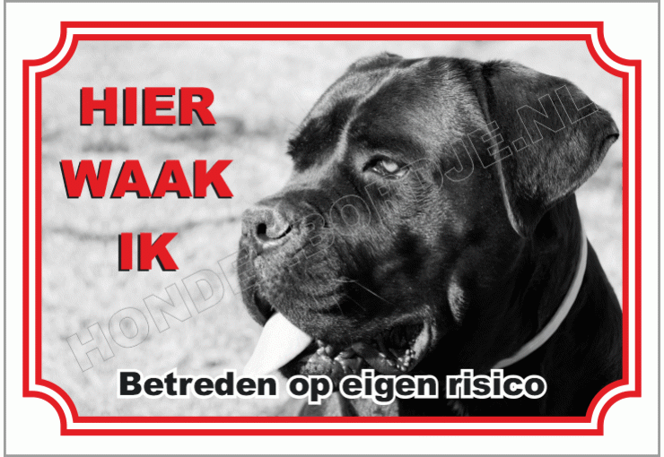 Cane Corso zwart