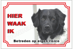 Friese stabij