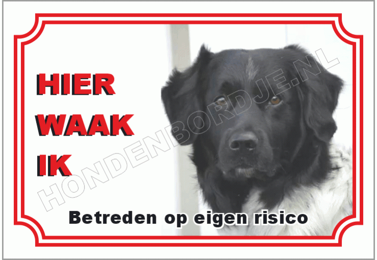 Friese stabij