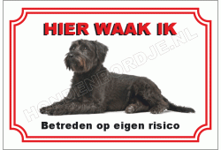 Bouvier des flandres