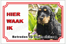 Engelse cocker spaniel