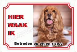Engelse cocker spaniel