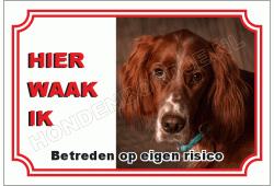 Engelse setter