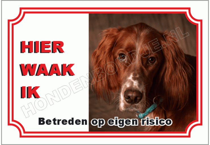 Engelse setter