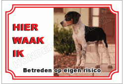 English Foxhound