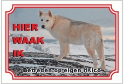 Groenlandhond