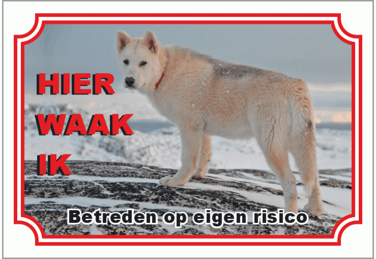 Groenlandhond