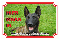 Hollandse Herdershond kort