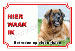 Leonberger