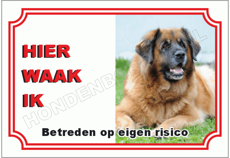 Leonberger