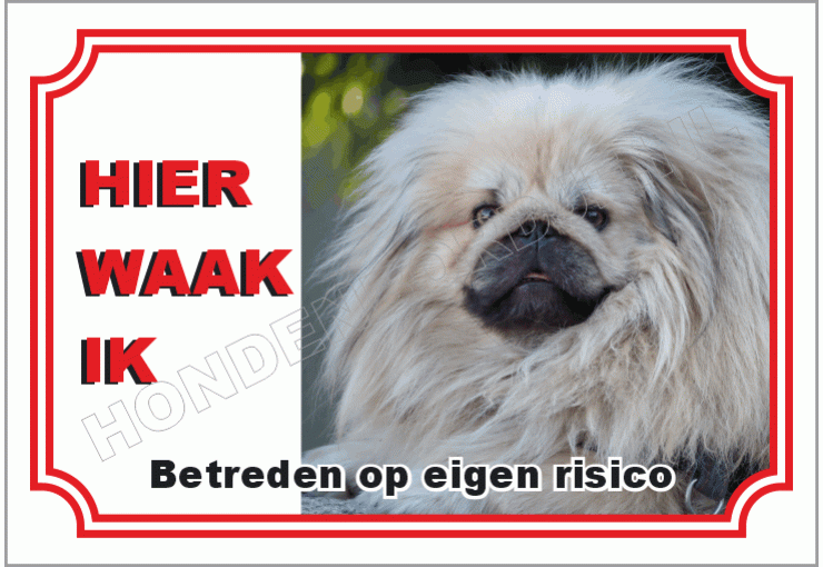Pekingees