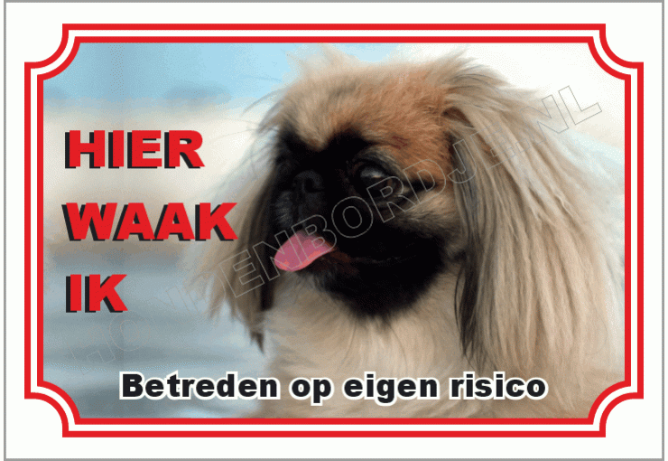 Pekingees